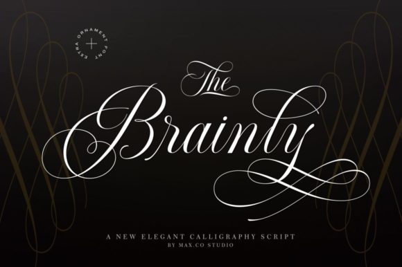 Brainly: A Script Font Built for Campaign Design