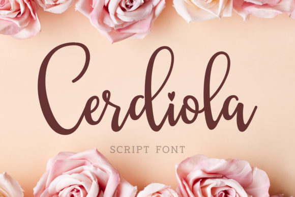 Cerdiola: A Script Font That Makes Your Brand Content Stand Out