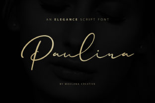 Paulina Script Typeface for Modern Web Design