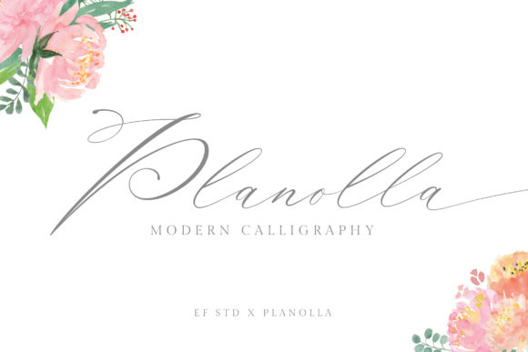 Planolla Brings Delicate Elegance to Small Business Branding