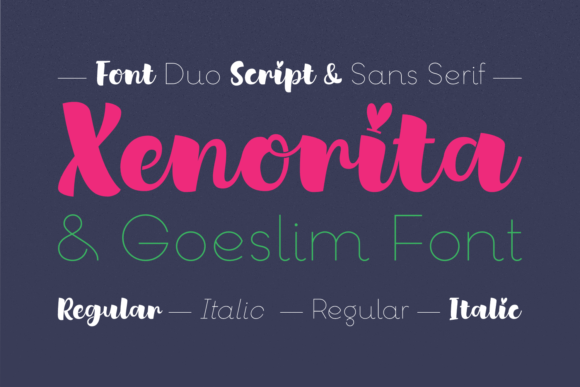 Xenorita Goeslim Duo: A Practical Font Review